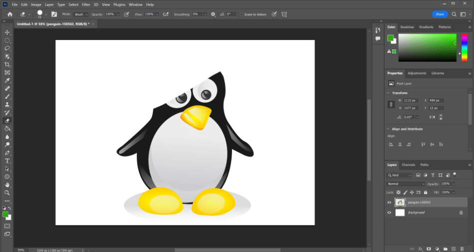 Photoshop Rasterized penguin erased 1 1