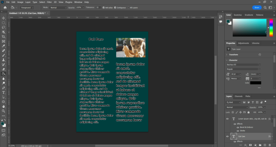 Photoshop pamplet text for cat care 