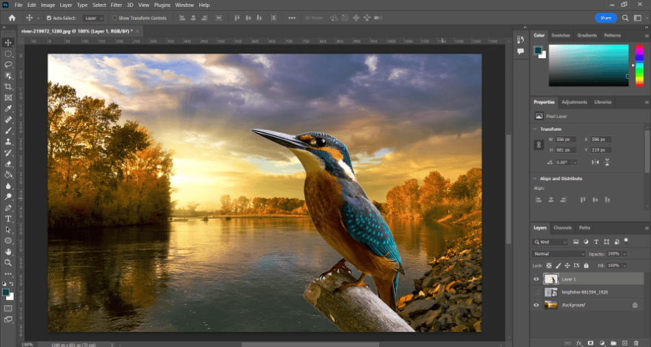 Photoshop Bird Selected and Separated 