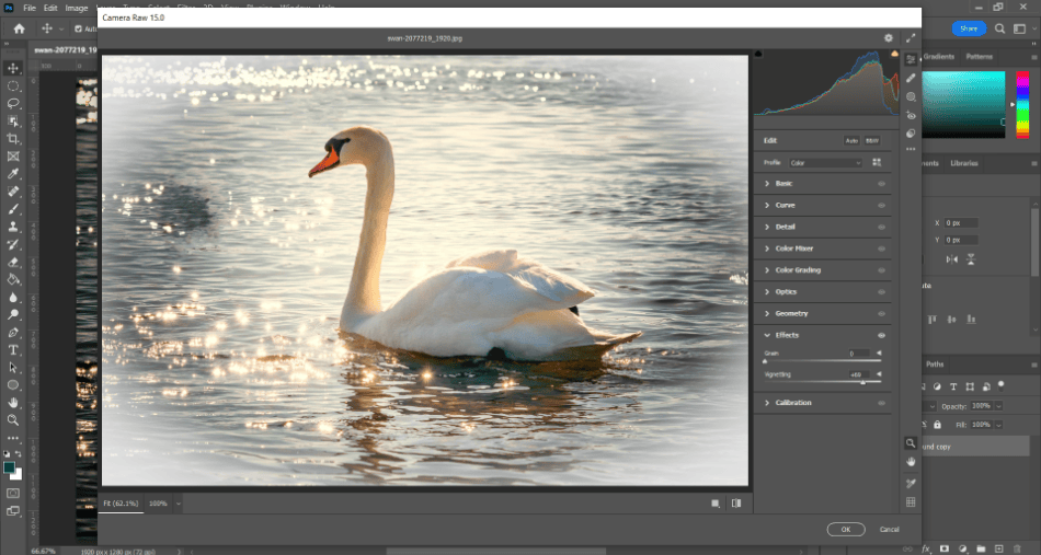 Photoshop Camera Raw Filter Vignette On Swan 