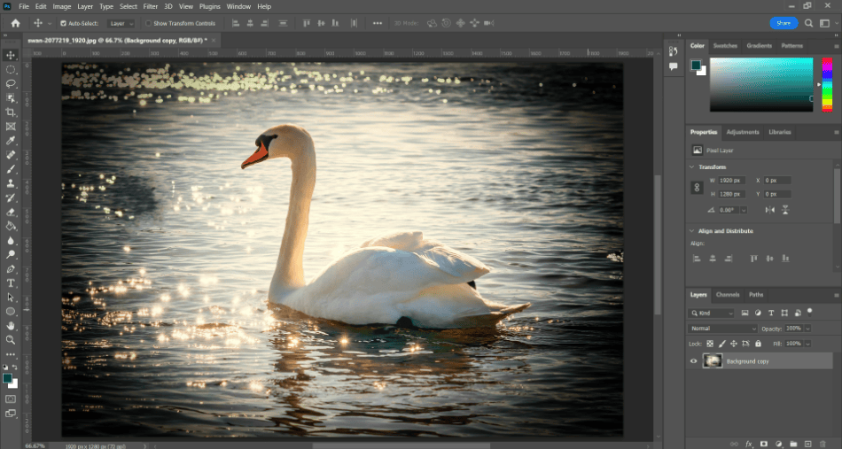Photoshop Swan With Dark Vignette 