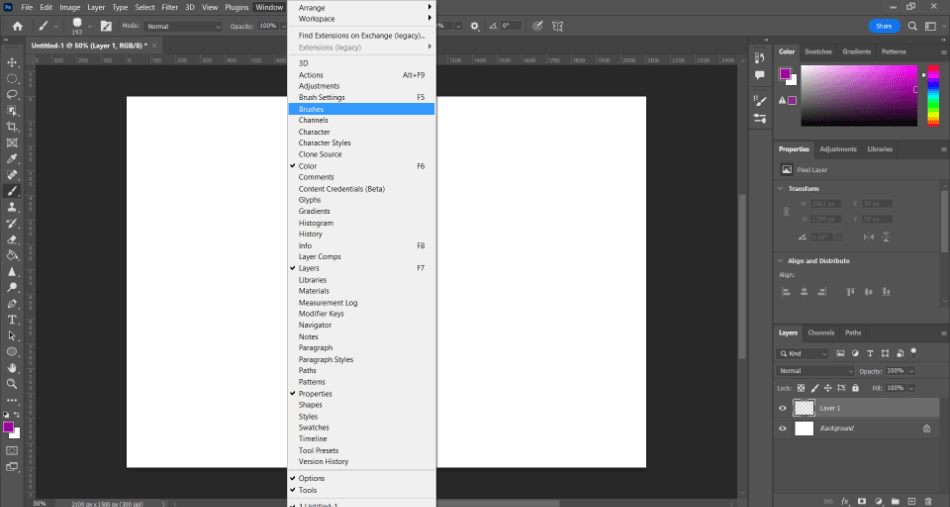 Photoshop Window Brushes