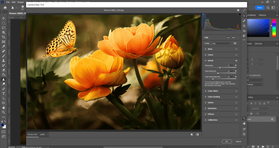 Photoshop butterfly and flowers camera raw filter 1