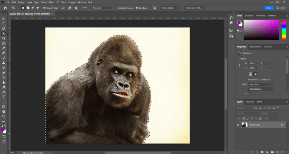 Photoshop feathering gorilla selected