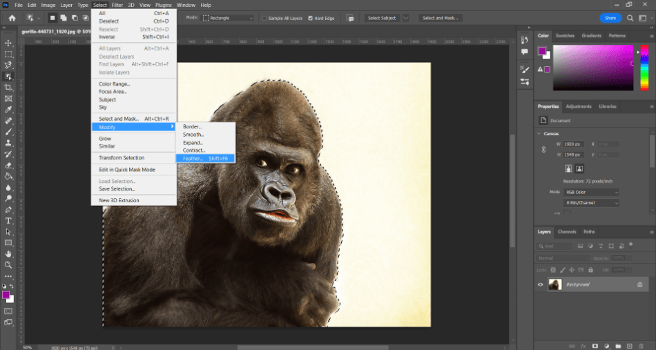 Photoshop feathering gorilla selecting feather