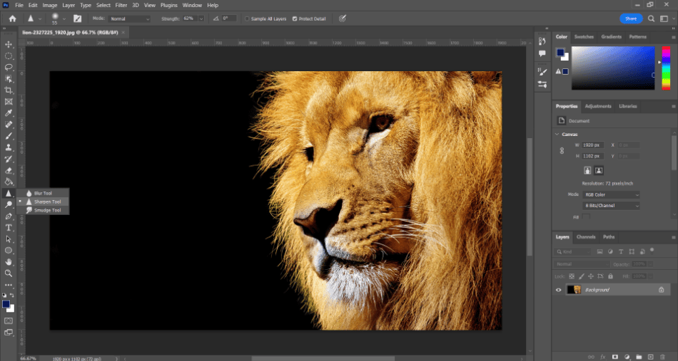Photoshop lion sharpen toolbar 1