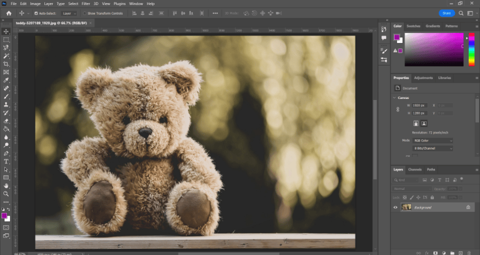 Photoshop smoothing bear