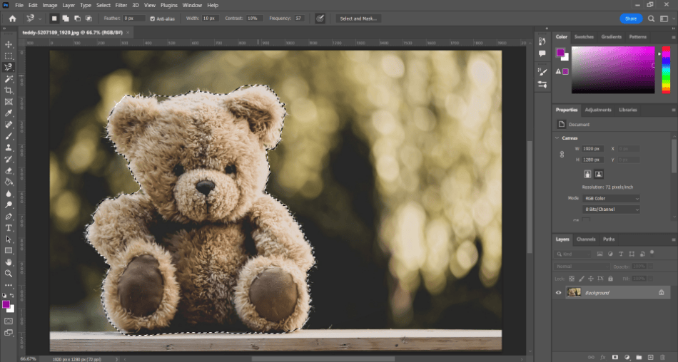 Photoshop smoothing bear magnetic lasso selected
