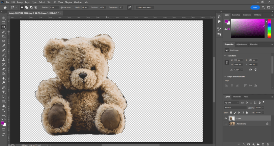 Photoshop smoothing bear magnetic lasso selected and isolated
