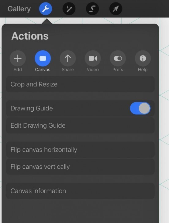 Procreate Actions menu 1