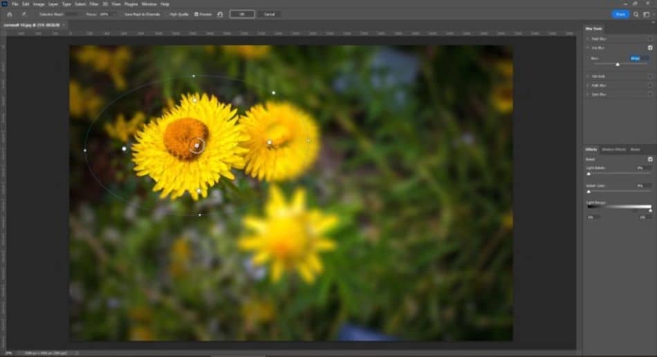 The Iris Blur tool is incredibly useful for creative effects