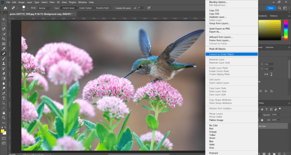 Photoshop bird flowers convert