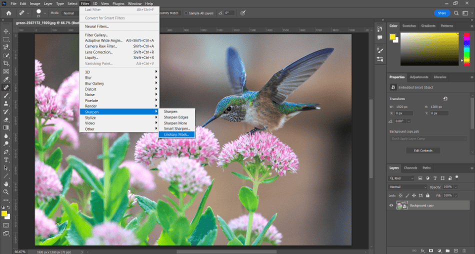 Photoshop bird flowers unsharp mask