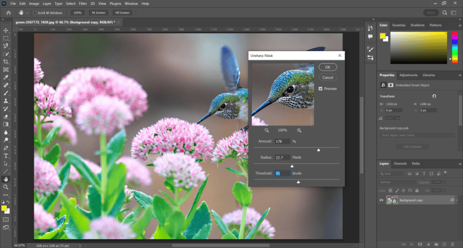 Photoshop bird flowers unsharp mask window