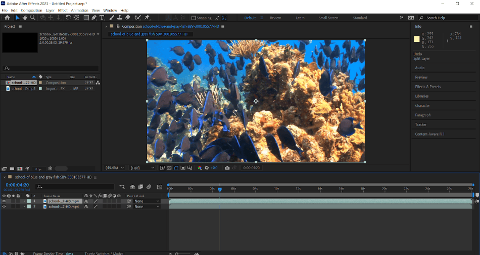 The fish footage is now duplicated into two layers 5