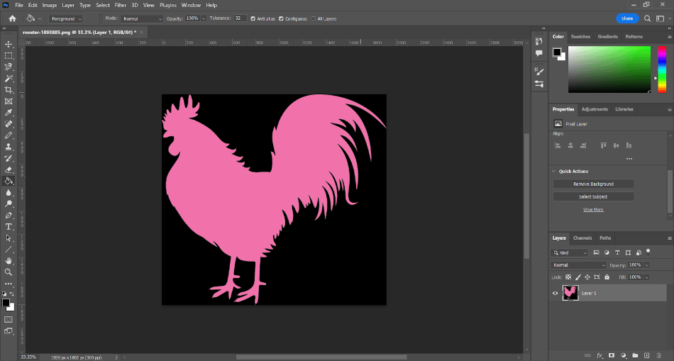 This vector image of a rooster had a white background that was easy to fill with the fill bucket because of the hard edges of this drawing 2